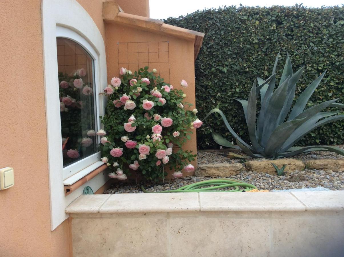 Les Lavandes Bed & Breakfast Alleins Luaran gambar